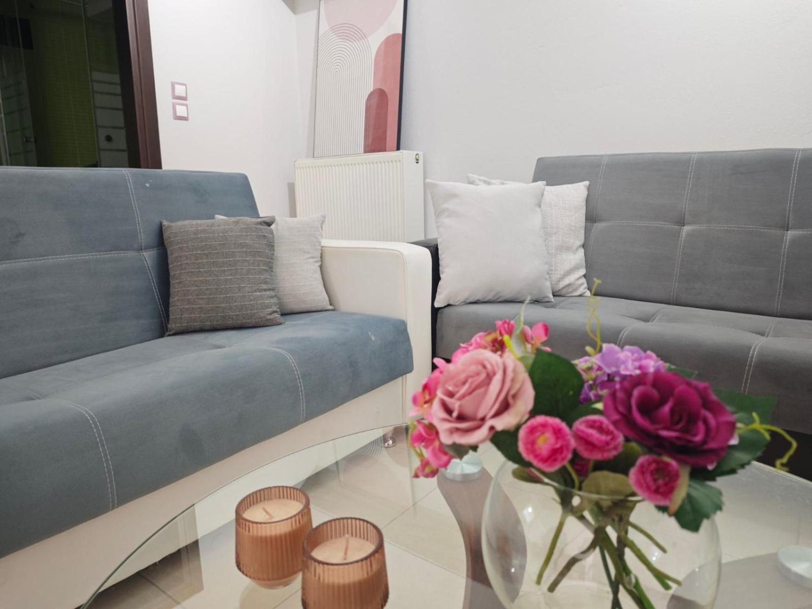 Mary'S Cozy Apartment 亚历山德鲁波利斯 外观 照片